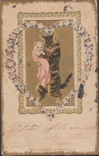 Cartolina augurale nascita con
