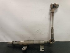 CANNA DELLO STERZO (PIANTONE)