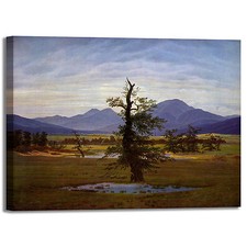 Caspar albero solitario 2