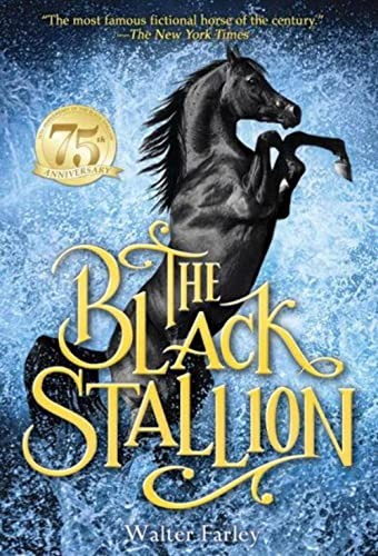 The black stallion - the,