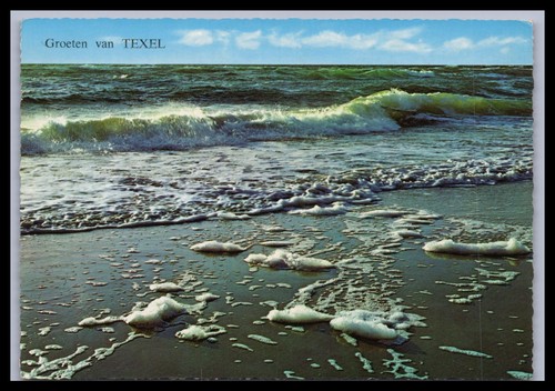 Cartolina texel olanda - texel,