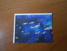 figurina DALTANIOUS n.188- ED. PANINI 1981 completa di velina