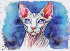 Stampa artistica acquerello gatto sphynx