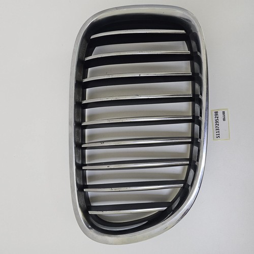 Griglia superiore radiatore