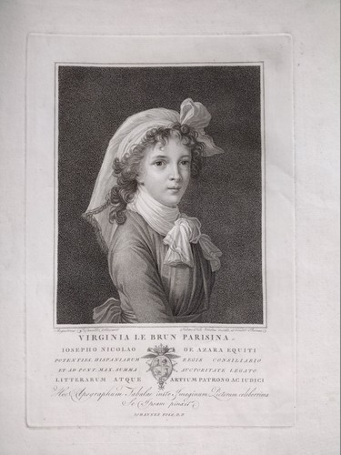Elisabeth vigée brun folo - brun,