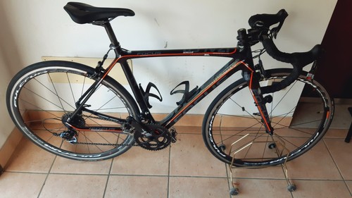 Bicicletta corsa focus - corsa,