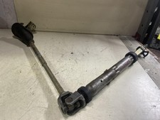 CANNA DELLO STERZO (PIANTONE)