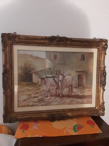 Maestro livornese volpe - livornese, g