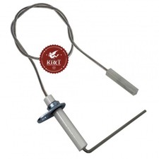 Elettrodo Candela Rilevazione