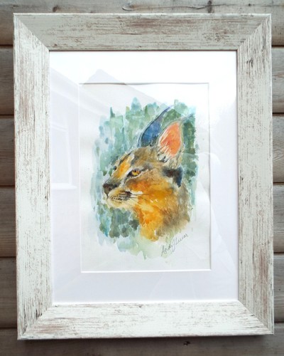 Quadro caracal acquerello - caracal,