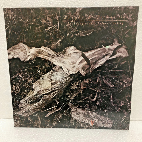 David sylvian holger - sylvian, czukay