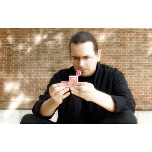 Tnr mathieu bich - tnr,