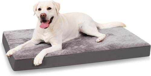 Cuscino per cani - cuscino,