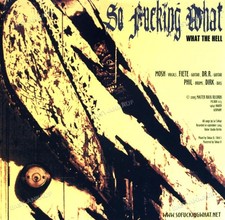 So Fucking What / Bad Machine