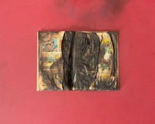 Bernard Aubertin Livre Brulè