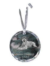 Deutsch Drahthaar Collana Con