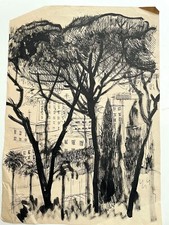 QUARTIERE TRIESTE A ROMA, PINI E CASE, ANNI '50, AUTORE NON IDENTIFICATO