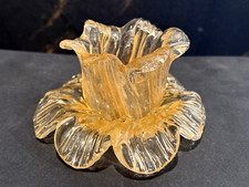 FIORE PARALUME, VETRO DI