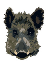 10 x adesivi auto sticker