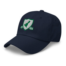 Cappello Papà Attack Squadron 42 VA-42 Logo Ricamato Regolabile Navy Classico