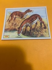 FIGURINA N.226 ANIMALI