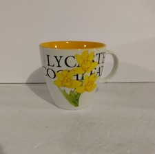 Tazza da 4" Narciso Giallo Top Choice, "Lycaste Cocheata",
