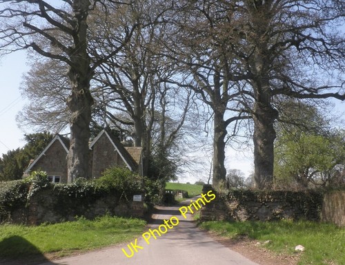 Photo 6x4 entrance - photo, tetton