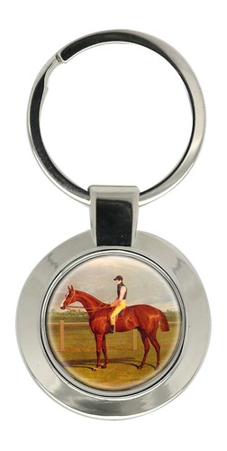Cavallo corsa di herring - di,