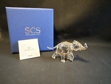 NUOVO Swarovski SCS 2013 Young