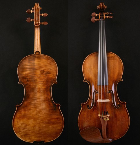 Grande maestro violino - grande,