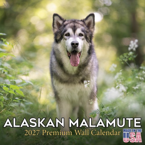 Calendario alaskan malamute - calendario,