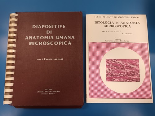 Diapositive anatomia umana - di,