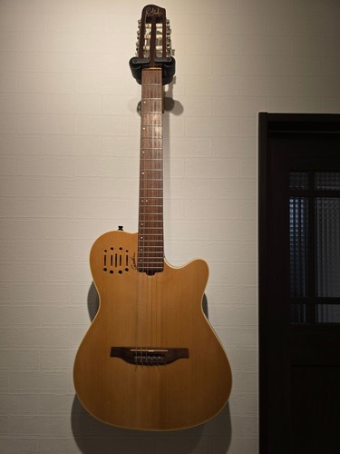 Godin multiac nylon encore - godin,