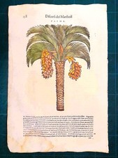 MATTIOLI MATTHIOLI Erbario a