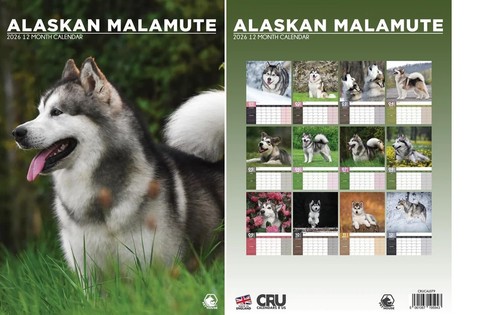 Alaskan malamute 2026 calendar - malamute,