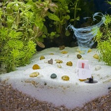  Pompa da Surf per Acquario