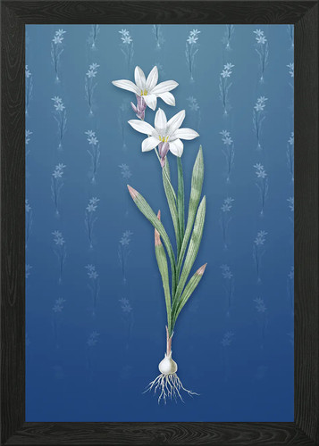 Quadro stampa tela poster - stampa, su