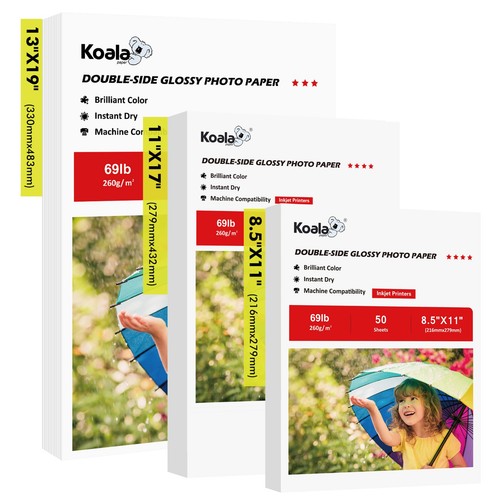 Lotto koala 69lb carta - lotto,