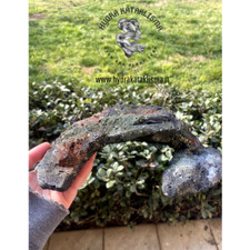 Tana per geco Leopardino, tana