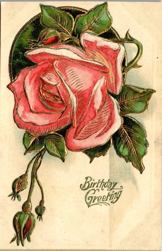 Fiore rosa rilievo - fiore,