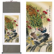 Pavone cinese tra bellissimi