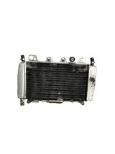 RADIATORE CON VENTOLA PIAGGIO