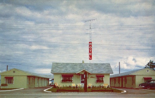The pines motel - the,