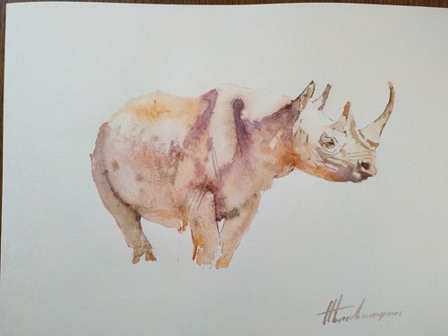 Rinoceronte animale opera - animale,,