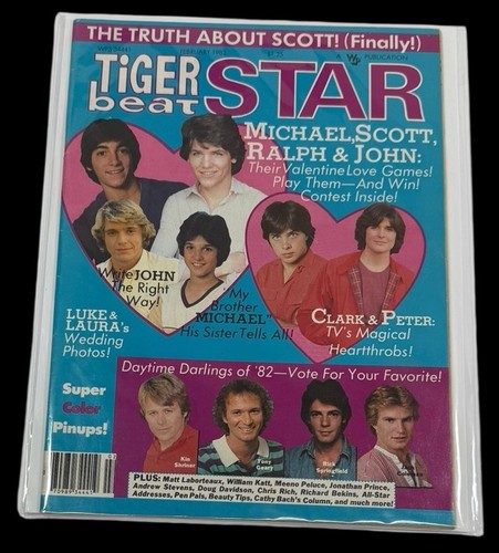 Vintage tiger beat star - vintage,
