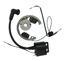 Kit volano magnetico statore e