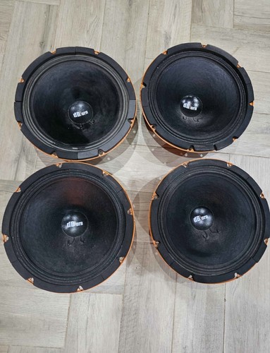 Woofer burn 25cm - woofer, db