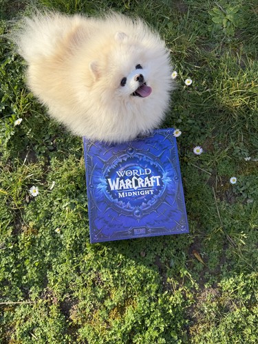World warcraft midnight - ♉, of