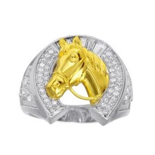 Uomo Argento Sterling Ferro di