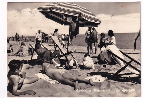 P02447 cartolina marina - -,